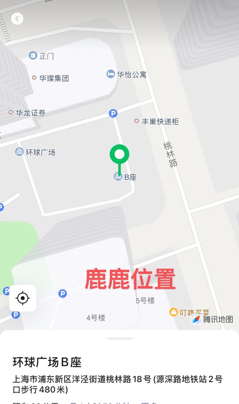 浦东陆家嘴04新人鹿鹿 Gallery 6